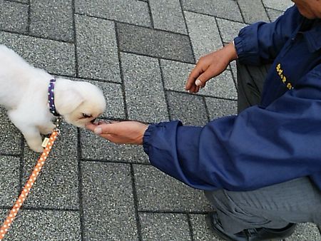 たらとら4.jpg