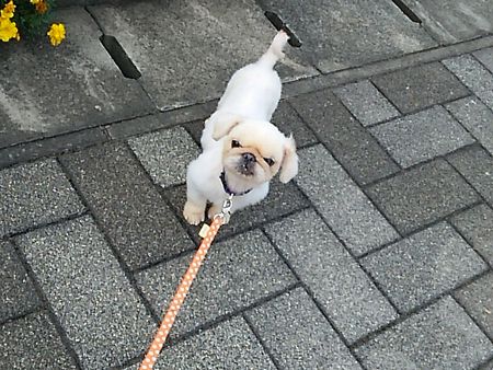たらとり5.jpg