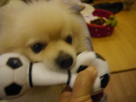 ねる6.jpg