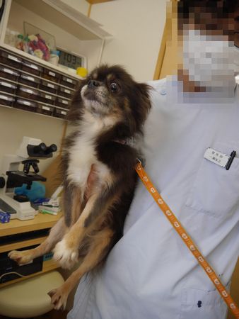 しんさつだい4.jpg