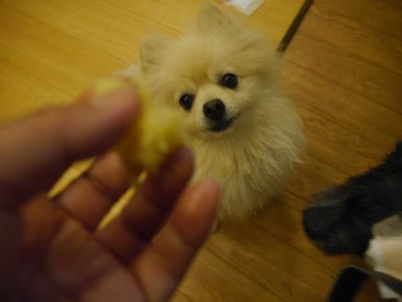 いもたーぼ2.jpg