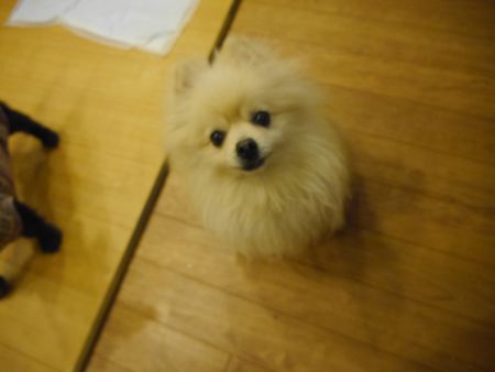 いもたーぼ3.jpg