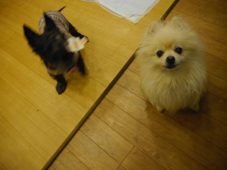いもたーぼ4.jpg