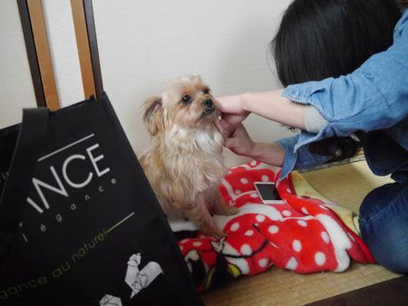 いくとら2.jpg