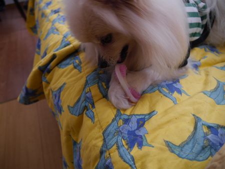 かみかみ2.jpg