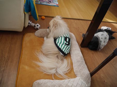 ふく1.jpg