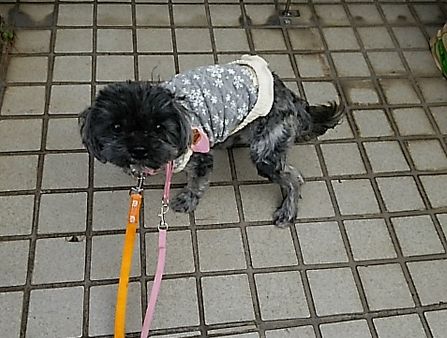 まりさん6.jpg