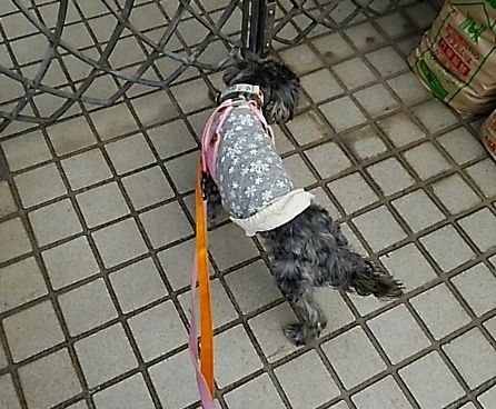 まりさん7.jpg