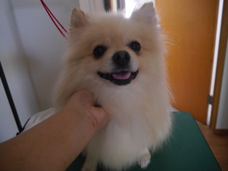 たぼしゃん6.jpg