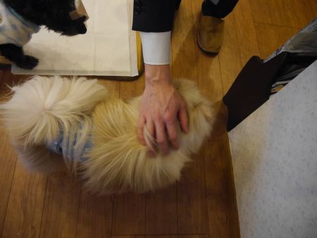 しんたぼ1.jpg