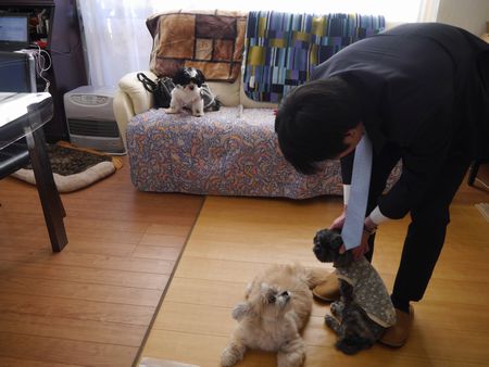 しんぴゅん2.jpg