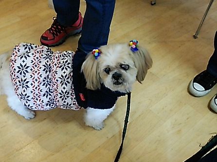 1月里親会1.jpg