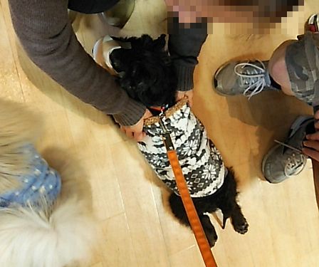 1月里親会2.jpg