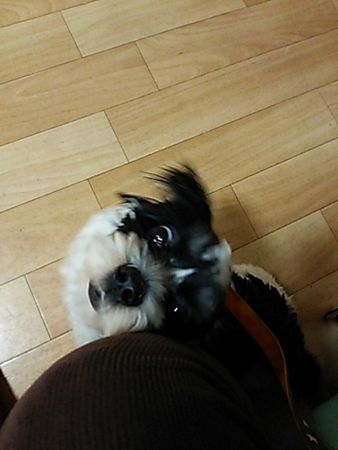 ぴゅんおぺ2.jpg