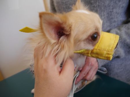 ターボワクチン12.jpg