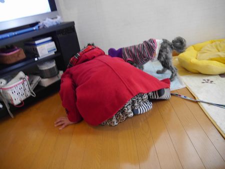 まりとら3.jpg