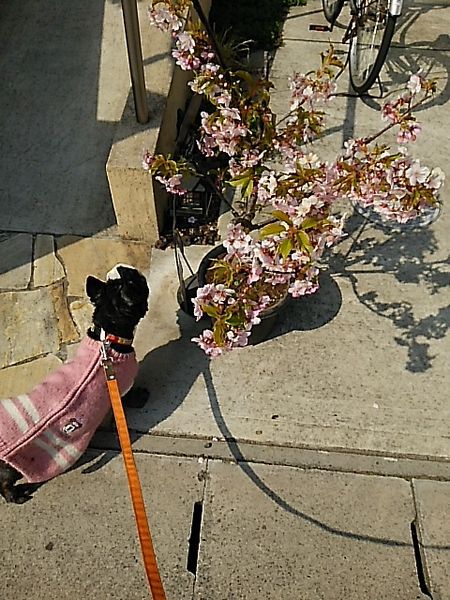 DSC_1316.jpg
