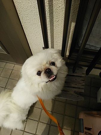 3月24日アーサー2.jpg