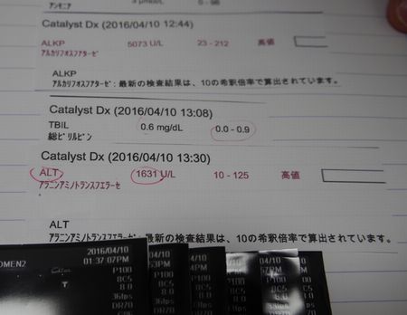 おぺ2.jpg