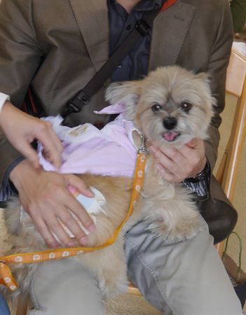 おみあいだよ6.jpg