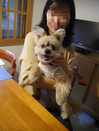 ゆずとら3.jpg