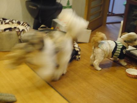 おにごっこ5.jpg