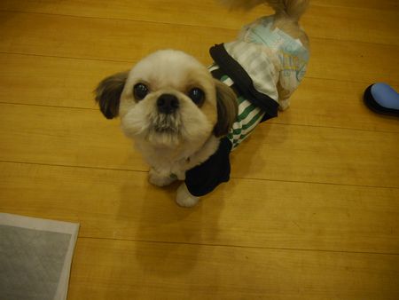 おにごっこ1.jpg