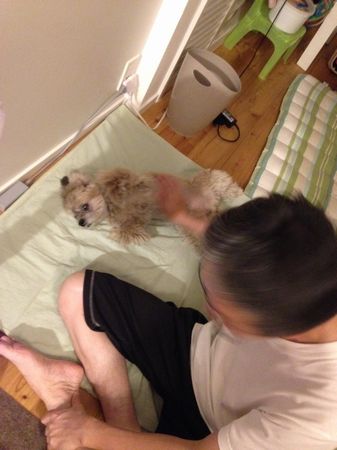 とらいある3.jpg