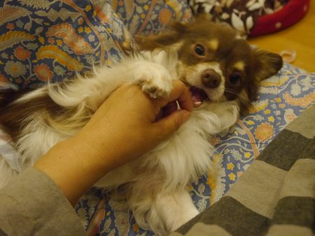ねんね6.jpg