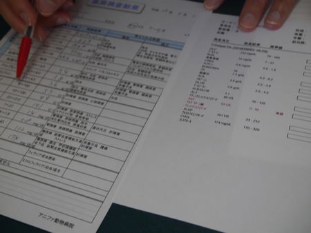 りょう4.jpg