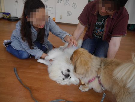 あさとら3.jpg