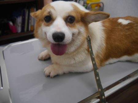 ¤¯¤ê7.jpg