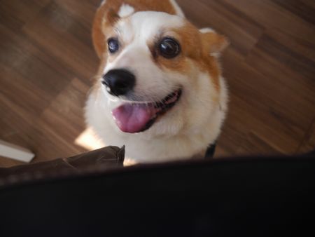 ¤¯¤ê11.jpg