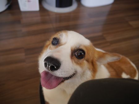 ¤¯¤ê15.jpg