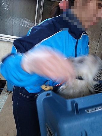 ¤¿¤È¤¦¤Ò¤3.jpg