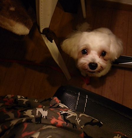 15日朝4.jpg