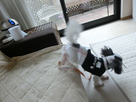 あととら6.jpg