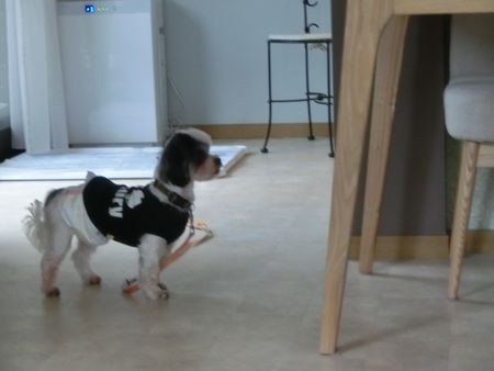 あととら9.jpg