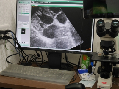 P2410761.JPG