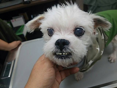149050 - ¥³¥Ô¡¼.jpg