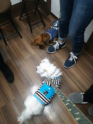 161135.jpg