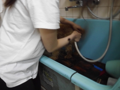 P2530341.JPG