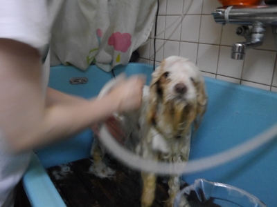 P2530421.JPG
