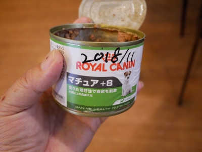 P1020373.JPG