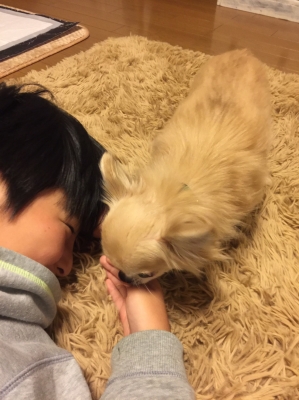 S__8773646 - コピー.jpg