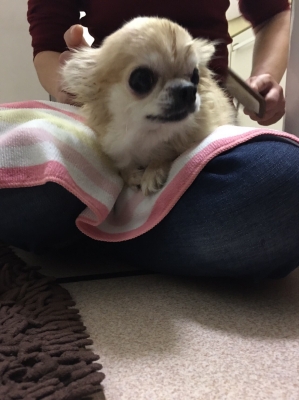 S__8790026 - コピー.jpg