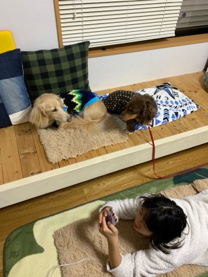 トビー5.jpg