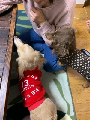 トビー9.jpg