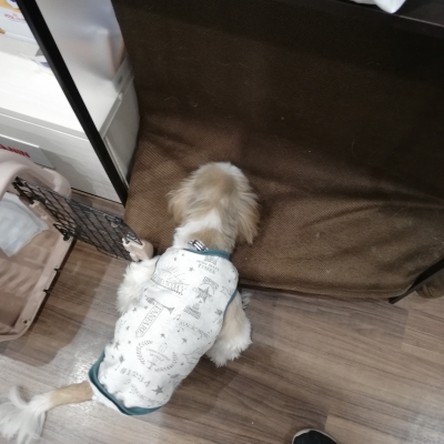IMG_20191226_201235.jpg