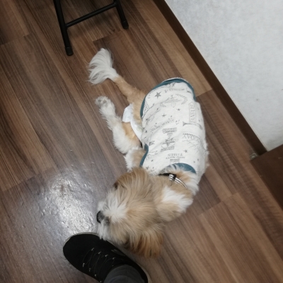 IMG_20191226_211513.jpg